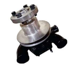 Pièces de tracteur adaptées au moteur INDOFARM Simpsons TAFE 25, grande poulie avec boulons, ensemble pompe à eau et pompe à huile. - Product Image 1