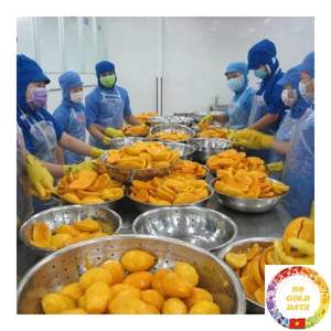 Frozen <b>Mango</b> Vietnam IQF Sweet Yellow Chunks for Juice Smoothie and Dessert Bulk Export Supplier - Product Image 5