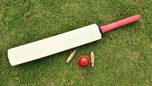 Wood <b>Cricket</b> Bat Classic Style Lightweight Ambidextrous For <b>Cricket</b> Practice - Product Image 6