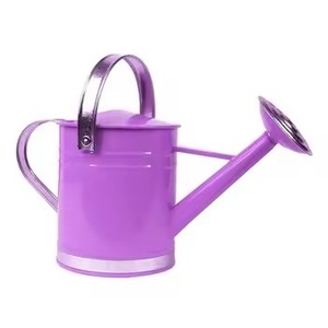 Regadera Metálica Morada Más Vendida con Asa y Boquilla Plateadas para Jardinería - Product Image 4