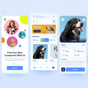 Phát triển ứng dụng Web tiến bộ chuyên nghiệp (pwa) | thiết kế và phát triển web tùy chỉnh - Product Image 3