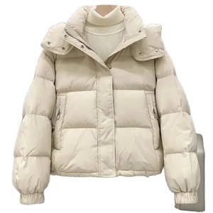 Nouvelle veste d'hiver pour femmes, manteau décontracté en duvet, surdimensionné, à capuche, en coton doux et chaud, doudoune pour la neige - Product Image 2