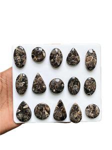 Turritella, Gema Cabujón Suelta, Directo de Fábrica India, Venta al por Mayor por Kilo, Lote de Piedras - Product Image 1