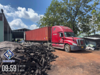 Charbon de bois naturel de Khaya en morceaux à haute valeur calorifique pour les acheteurs de restaurants de barbecue soucieux du coût