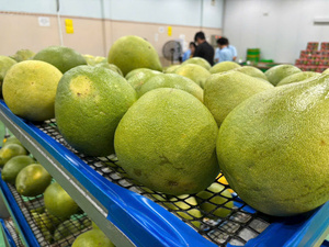 Pomelo/Pomelo Amarillo Fresco Orgánico de Vietnam con Sabor Dulce, Alta Calidad, 20cm, 1kg - Product Image 5