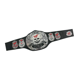 Customizable WWF Heavyweight Championship Belt, High Quality Wrestling Title Belt Unique Design Exclusive Sports Belt for Fans - Product Image 6