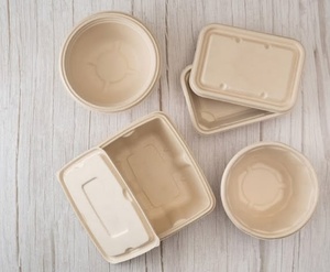 Contenant alimentaire jetable biodégradable en bagasse non blanchie de 750 ml, anti-fuite, avec couvercle, idéal pour la restauration rapide et les plats de rue – Vente chaude - Product Image 1