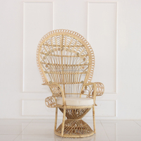 Prix spécial contemporain en osier rotin paon chaise Villa parc balcon salon jardin mobilier d'extérieur salon appartement