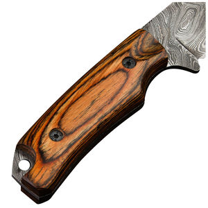 Cuchillo Táctico de Caza y Camping de Acero Inoxidable OEM, Hoja Fija para Exteriores, Borde Dentado, Punta Clip, Personalizable - Product Image 6