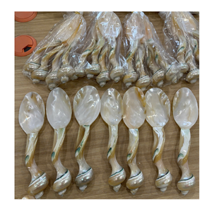 Cuillère artisanale en nacre, manche en coquille naturelle, pour collection de vaisselle de luxe - Product Image 2