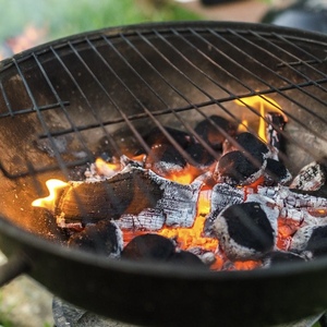 Meilleur choix de charbon de bois naturel en coquille de noix de coco pour barbecue, paquet de 2 kg, approvisionnement en vrac disponible, emballage en carton pour l'exportation - Product Image 4