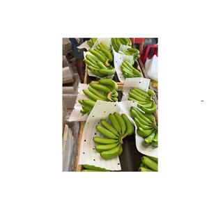 Vietnamese Agriculture <b>Fresh</b> Green Cavendish Bananas 13kg Carton with Custom Label for <b>Fruit</b> Vegetable Export - Product Image 3