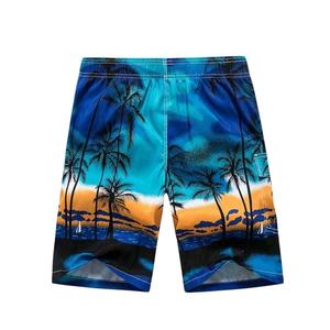 Shorts de Playa de Secado Rápido, Cintura Elástica, Estilo Casual, Diseño Liso o Estampado, Shorts de Surf, Venta al Por Mayor - Product Image 1