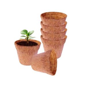Disponible dès maintenant en gros : Pot en fibre de coco écologique, biodégradable, pour pépinière, avec trou de drainage carré, pour usage extérieur - Product Image 1