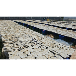 Sélection de qualité supérieure : Os de seiche séché et frit sous vide, produit à mâcher pour cage à oiseaux, pour perroquet, pinson, canari, perruche, fournitures pour animaux de compagnie - Product Image 1