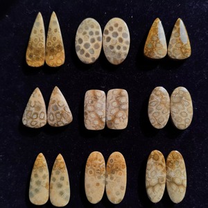 Offre Spéciale : Paire de Coraux Fossiles en Gros, Paire Assortie de Coraux Fossiles, Paire de Cabochons de Coraux Fossiles en Pierre Précieuse pour la Fabrication de Bijoux - Product Image 1