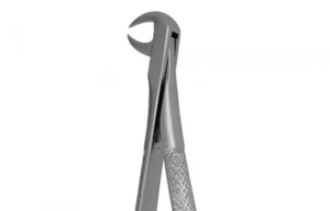 Forceps d'extraction dentaire de qualité médicale, instrument ergonomique en acier inoxydable pour l'élimination des dents - Product Image 4