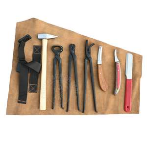 Kit d'outils de fermeur équin avec mallette à roulettes, extracteur de clous, pince à crochets, coupe-ongles de sabot, marteau à sabots, couteau à boucles et couteau à crochets - Product Image 1