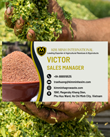 Silage de maïs premium pour l'alimentation des bovins, des chevaux et des porcs, fourrage fermenté de haute qualité en provenance du Vietnam