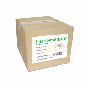 Poudre de Streptococcus Faecium, lieu d'origine IN;34648 - Product Image 2