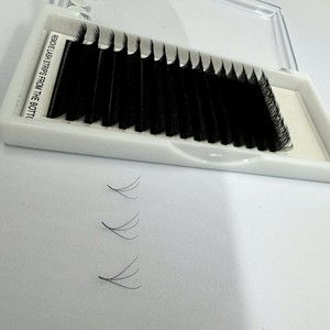 Meilleures ventes : Plateau de cils professionnels en gros W Lash 3D 4D 5D, épaisseur 0.07, longueur 8-20mm, Easy Fan, en fibre synthétique PBT, Marque privée - Product Image 3