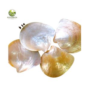 Plateau en coquillages naturels faits à la main, plateau en nacre dorée, design classique, support écologique pour savon, luxe, bien-être, spa - Product Image 2