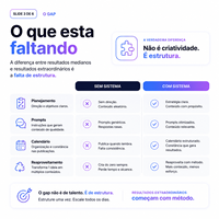 Générateur de contenu IA Reidify, version Internet, compatible Linux/Mac, publication automatisée, croissance numérique évolutive, stock disponible