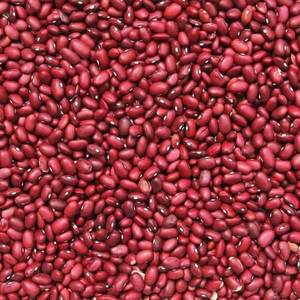 Venta al por Mayor de Frijoles Blancos Orgánicos, Secos Naturalmente, en Empaque a Granel, Calidad Alimentaria, Disponibles para Exportación - Product Image 1