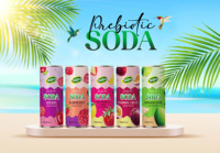 Soda prébiotique à la framboise et à la lime 250ml |   Boisson gazeuse de qualité supérieure pour la santé intestinale, jus véritable 7% Brix |   Boisson gazeuse OEM/ODM