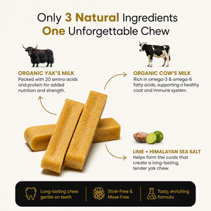 OEM ODM Golosinas de Leche de Yak del Himalaya para Perros, Sin Gluten, Naturales, Altas en Proteínas, Refuerzo Inmunológico, Golosinas Dentales para Todas las Razas y Tamaños, Marca Privada - Product Image 5