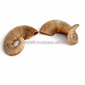Cuerno de Carnero Natural Pulido, Cuerno de Búfalo para Beber, Decoración Rústica Moderna para el Hogar, Regalo Premium, Ecológico, Apto para Lavavajillas - Product Image 5