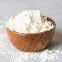 Nutrition Premium, Lait en Poudre Instantané Lyophilisé Entièrement Gras Savoureux, Formule pour Bébés et Enfants, Lait en Poudre Écrémé au Chocolat en Vrac
