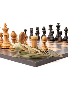 Juego de Ajedrez Infantil Portátil de Lujo con Tablero de Madera Pulida y Piezas con Figuras Romanas Antiguas - Regalo Ecológico para Decoración del Hogar - Product Image 6