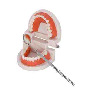 Kit de Examen Dental al por Mayor, 6 Piezas, Kit de Higiene Básica, Pinzas, Espejo, Explorador, Herramienta de Limpieza, Shuja Surgico - Product Image 2