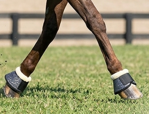 Premium Fashionable Hoof Protector Horse Bell Boot Glitter Fabric Neoprene Padded for Strap Shock Absorber Customizable - Product Image 5