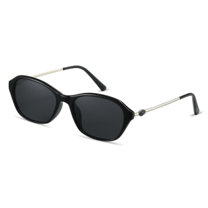 Lunettes de soleil polarisées RTS de haute qualité 2026 avec monture TR et branches métalliques – Lunettes de soleil tendance pour hommes et femmes - Product Image 1