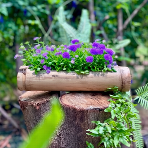 Jardinière murale en bambou écologique, pot à fleurs en bambou naturel, décoration murale rustique pour jardin - Product Image 4