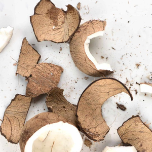 Coques de noix de coco brutes concassées de qualité supérieure A, durables, en provenance d'Inde, pour charbon actif et technologies environnementales - Product Image 6