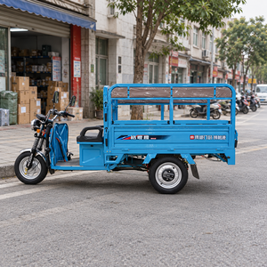 Tricycle Solaire Électrique à Conception Personnalisée, Moto à Trois Roues pour Passagers, Véhicule Commercial à Corps Ouvert 1000W+ 60V - Prix - Product Image 1