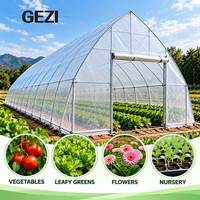 Serre à arche gothique à travée unique avec structure en acier galvanisé et couverture en film PE pour la culture commerciale de légumes, fleurs et plantes de pépinière