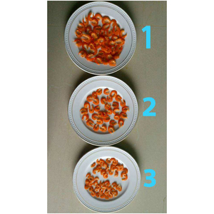 Camarones de Agua Dulce en Venta, Mariscos al por Mayor, Camarones Tigre Negro Congelados - Product Image 1
