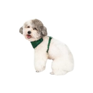 Harnais pour chien en nylon à carreaux réglable, style classique vert, fermeture à boucle, pour chiens de taille moyenne - Product Image 4
