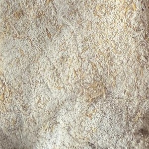 Cebada Triturada Limpia de Alta Calidad para Alimentación de Peces e Industria Acuícola, Cebada de Alta Nutrición Disponible a Buen Precio - Product Image 4