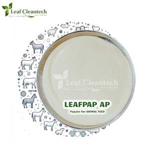 Highest Quality Papain <b>Enzyme</b> for Animal <b>Feed</b> Grade Papaya Extract Pure <b>Enzyme</b> - Product Image 1