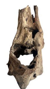 Pot de fleurs en forme de souche d'arbre naturelle - Product Image 5
