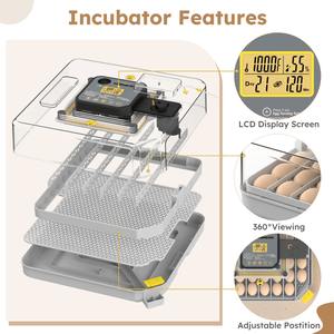 Incubatrice Automatica per 48 Uova di Gallina, Anatra, Quaglia e Pappagallo con Materiali PC e PP di Alta Qualità, Controllo del Giro Uova e dell'Umidità - Product Image 4