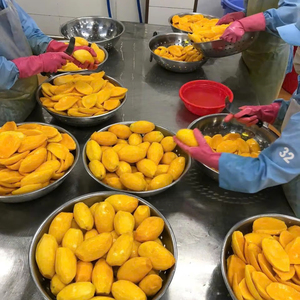 Mango Congelado en Trozos IQF al por Mayor - 100% Mango, 24 Meses de Vida Útil - Precio de Fábrica de Proveedor Vietnamita - Product Image 5