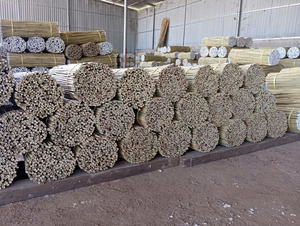 Meilleures ventes 2026 : Canne en bambou de qualité supérieure pour la construction, le soutien et la production artisanale – Surface lisse et résistante, facile à couper - Product Image 5