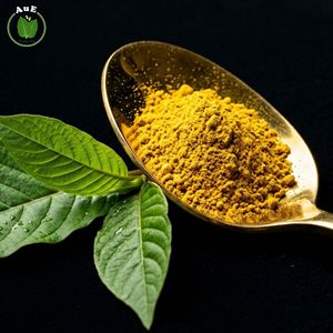 Indispensable : Poudre d'extrait de feuilles d'Herbe Thaïlandaise AuE MIT 80% extraite par solvant, qualité pharmaceutique, emballée sous vide - Product Image 2