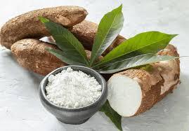 แป้งมันสำปะหลังออร์แกนิก ธรรมชาติและสะอาด สำหรับการเตรียมอาหารและสูตรอาหาร - Product Image 3